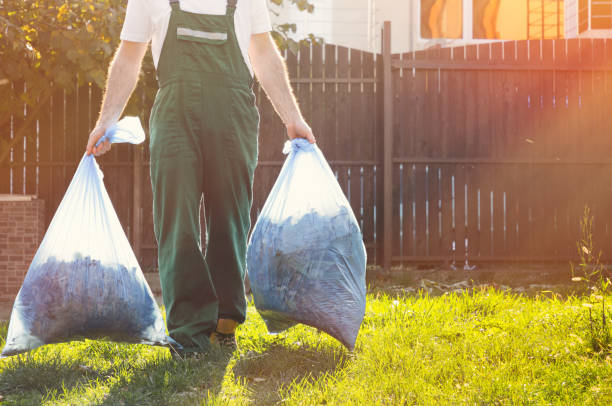 Yard Cleanup Services in Park River, ND